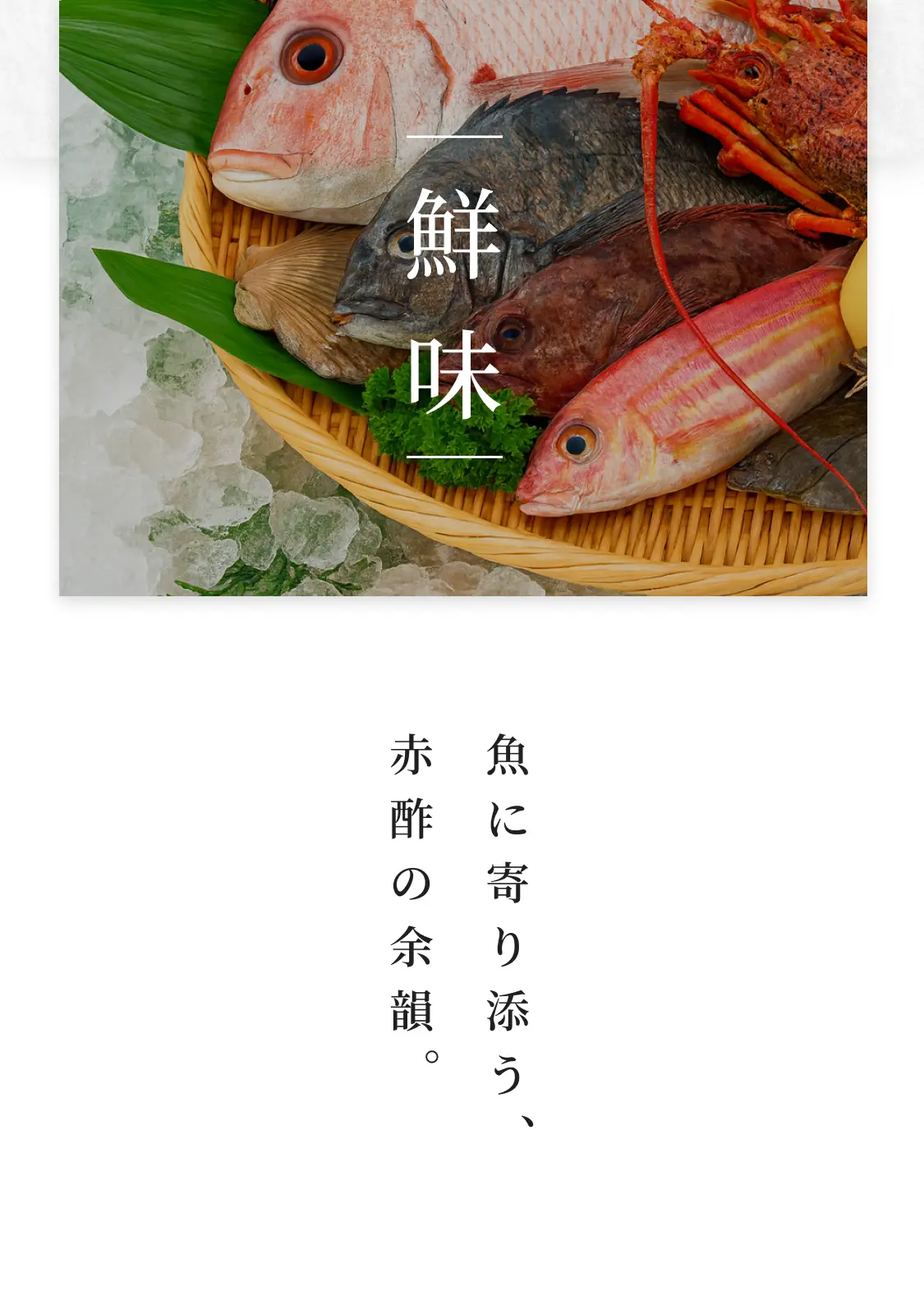 鮮味
